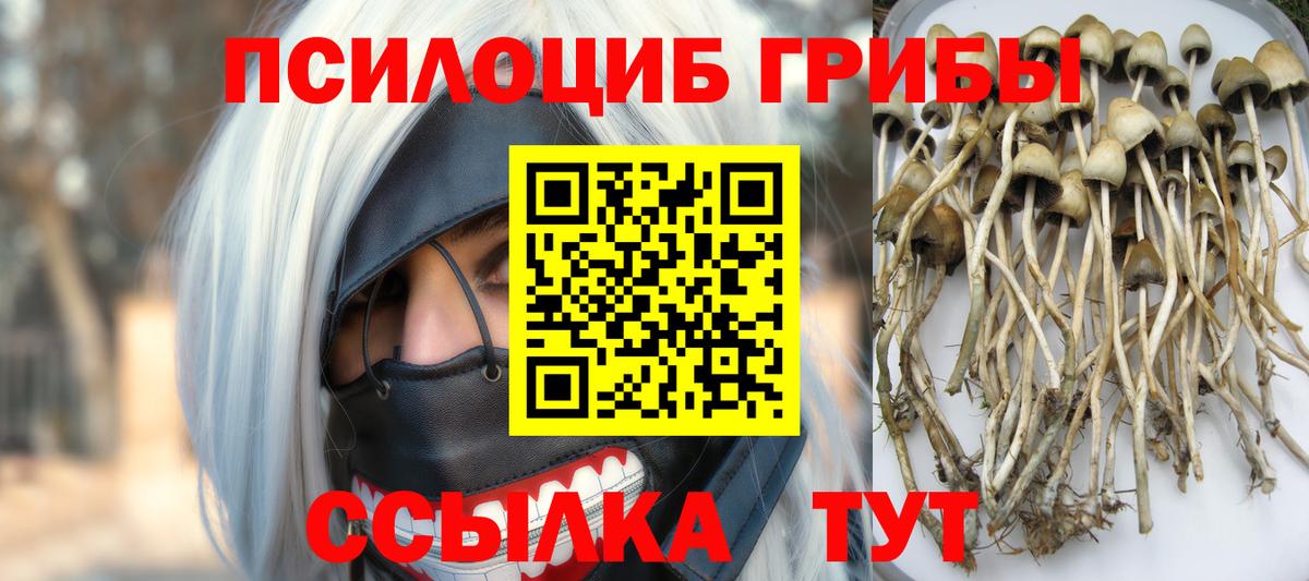 Нарткала  Псилоцибиновые грибы MAGIC MUSHROOMS  Вход с VPN  Галлюциногенные грибы Psilocybe 