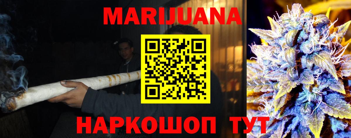 Конопля сатива Нарткала